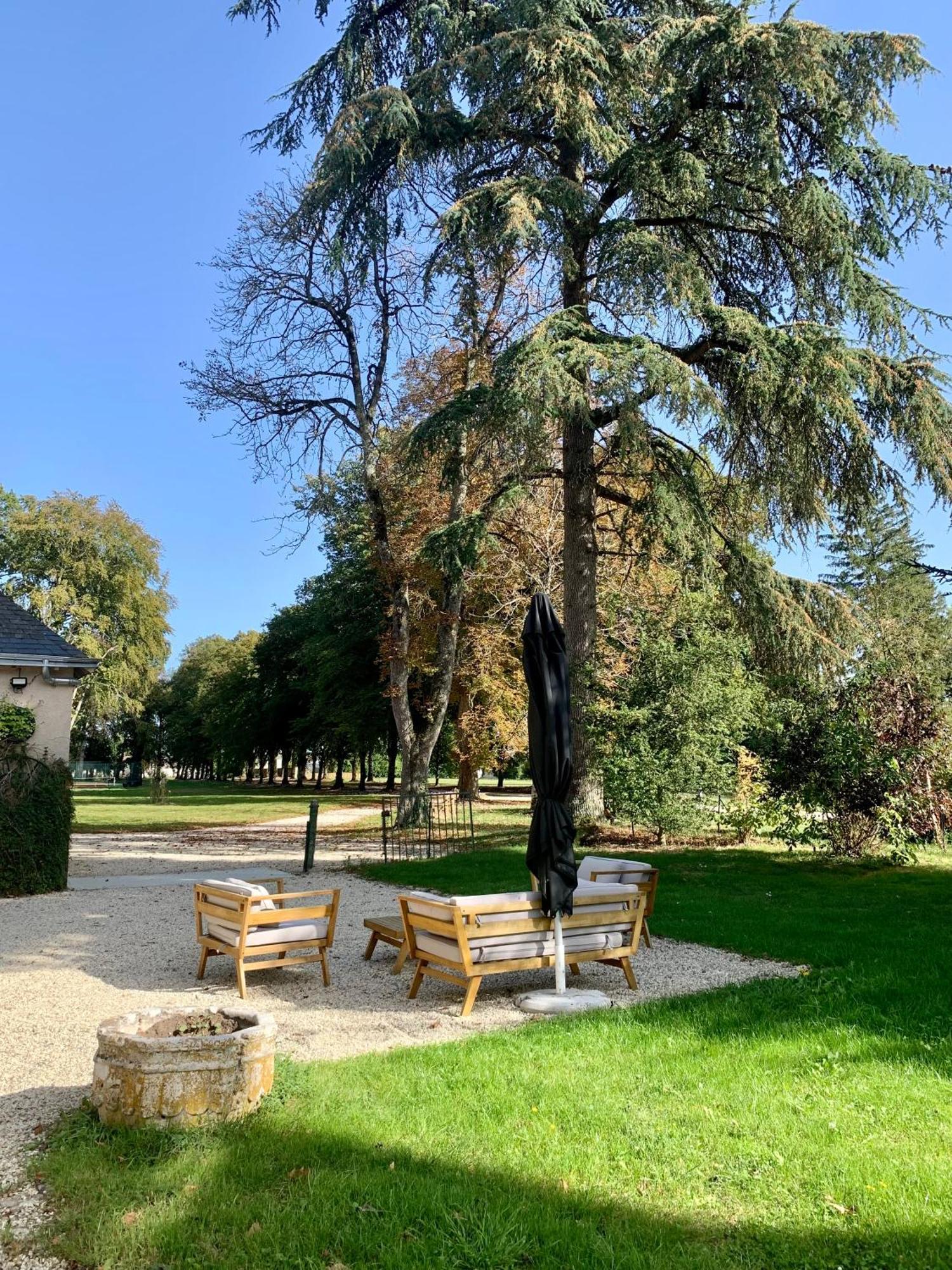 Chateau De L'Epinay - Domaine Du Marquis De Lafayette Dolus-le-Sec المظهر الخارجي الصورة